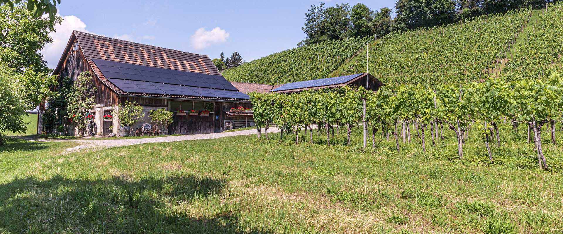 Weingut Ruetihof - Homepage